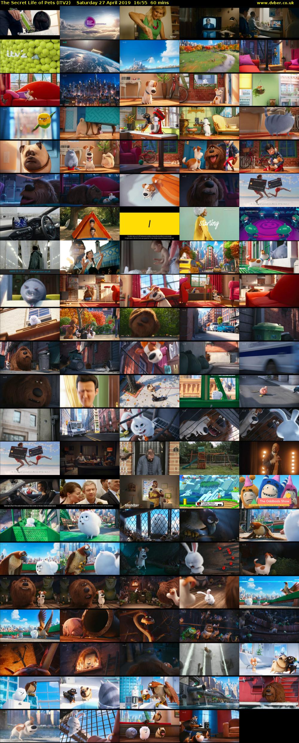 The Secret Life of Pets (ITV2) Saturday 27 April 2019 16:55 - 17:55