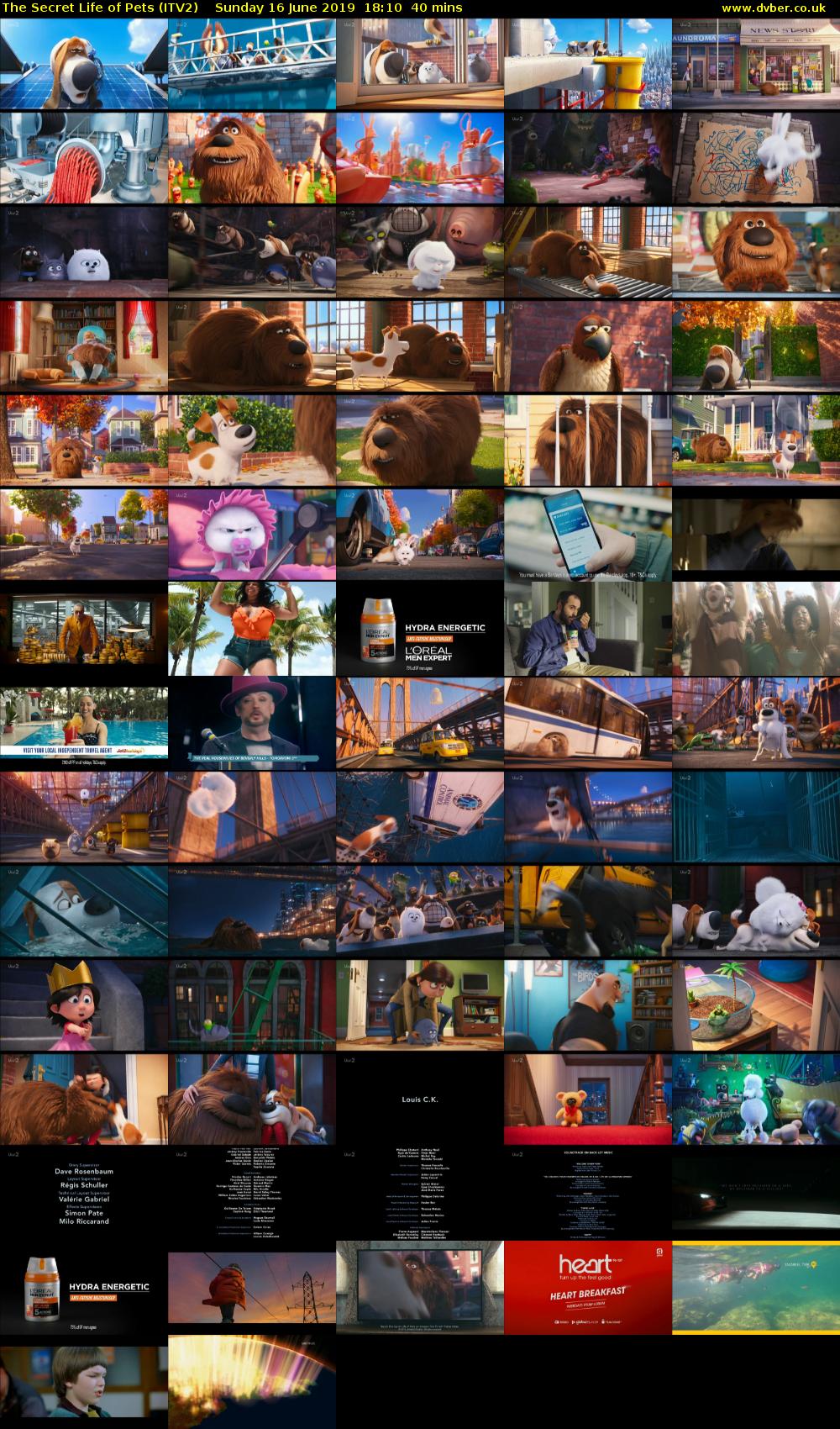 The Secret Life of Pets (ITV2) Sunday 16 June 2019 18:10 - 18:50