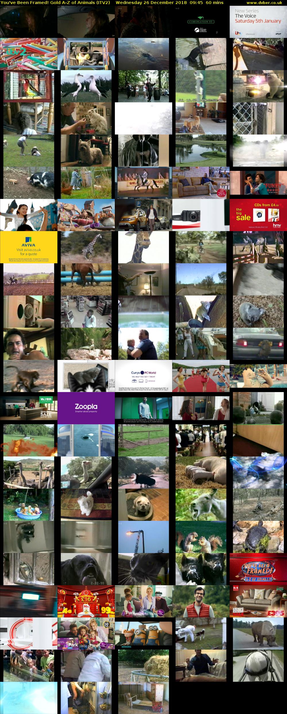 You've Been Framed! Gold A-Z of Animals (ITV2) Wednesday 26 December 2018 09:45 - 10:45