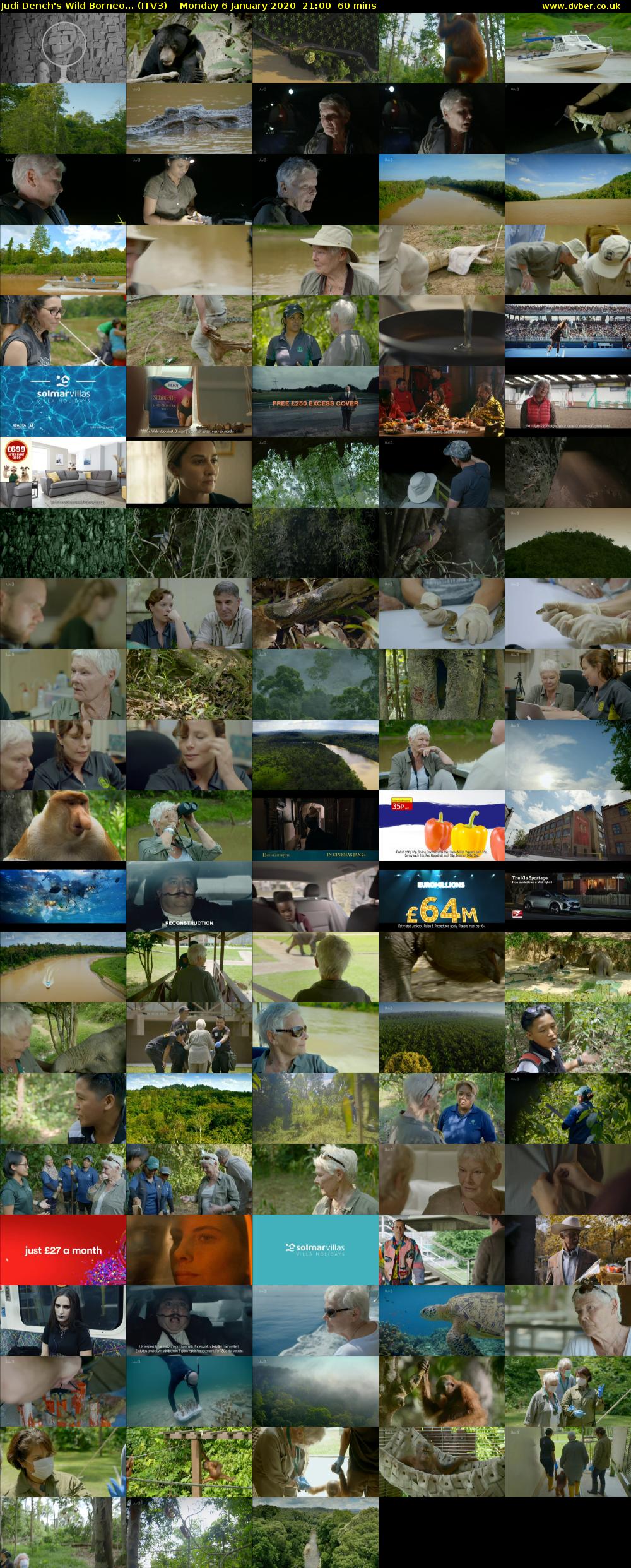 Judi Dench's Wild Borneo... (ITV3) Monday 6 January 2020 21:00 - 22:00