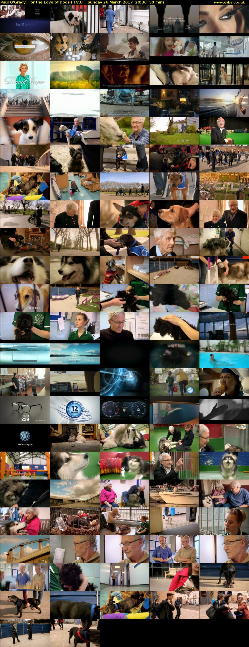 Paul O'Grady: For the Love of Dogs (ITV3) Sunday 26 March 2017 20:30 - 21:00