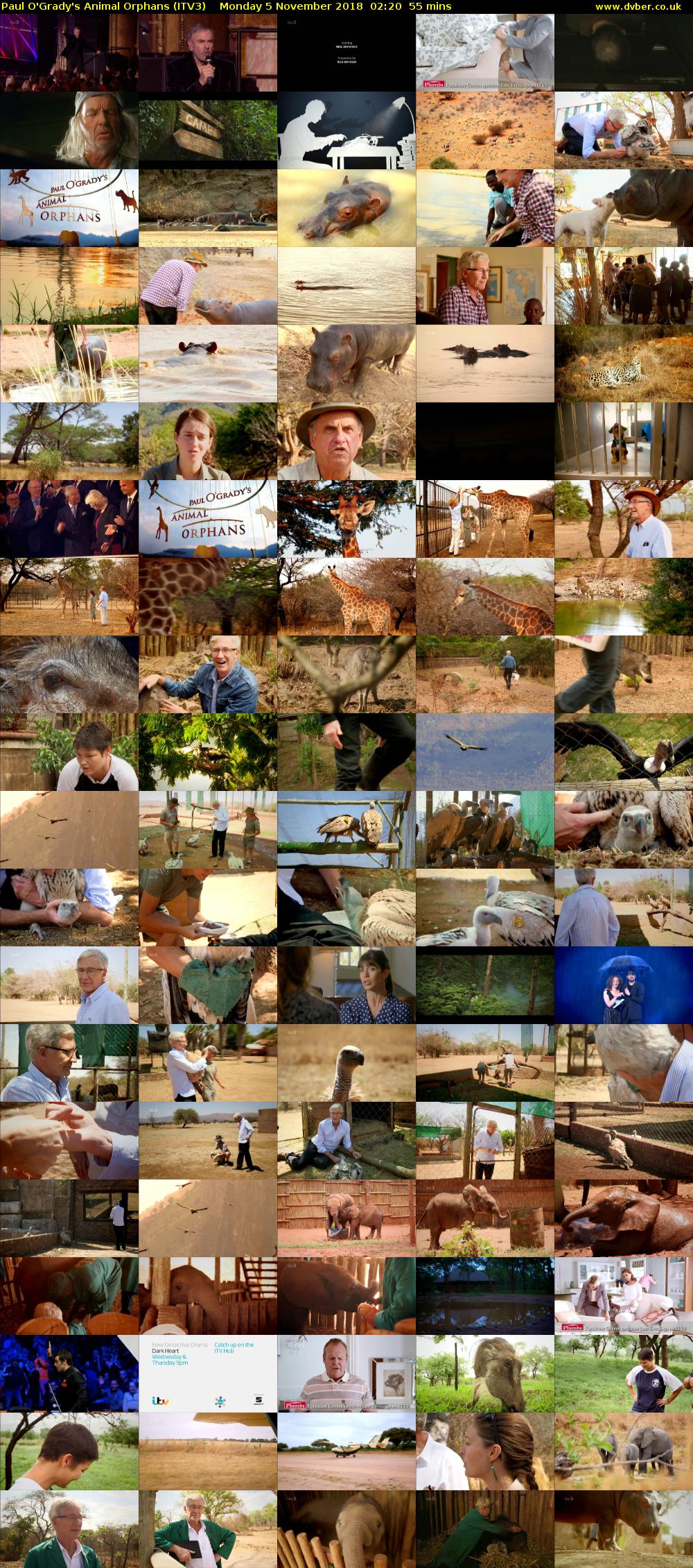 Paul O'Grady's Animal Orphans (ITV3) Monday 5 November 2018 02:20 - 03:15
