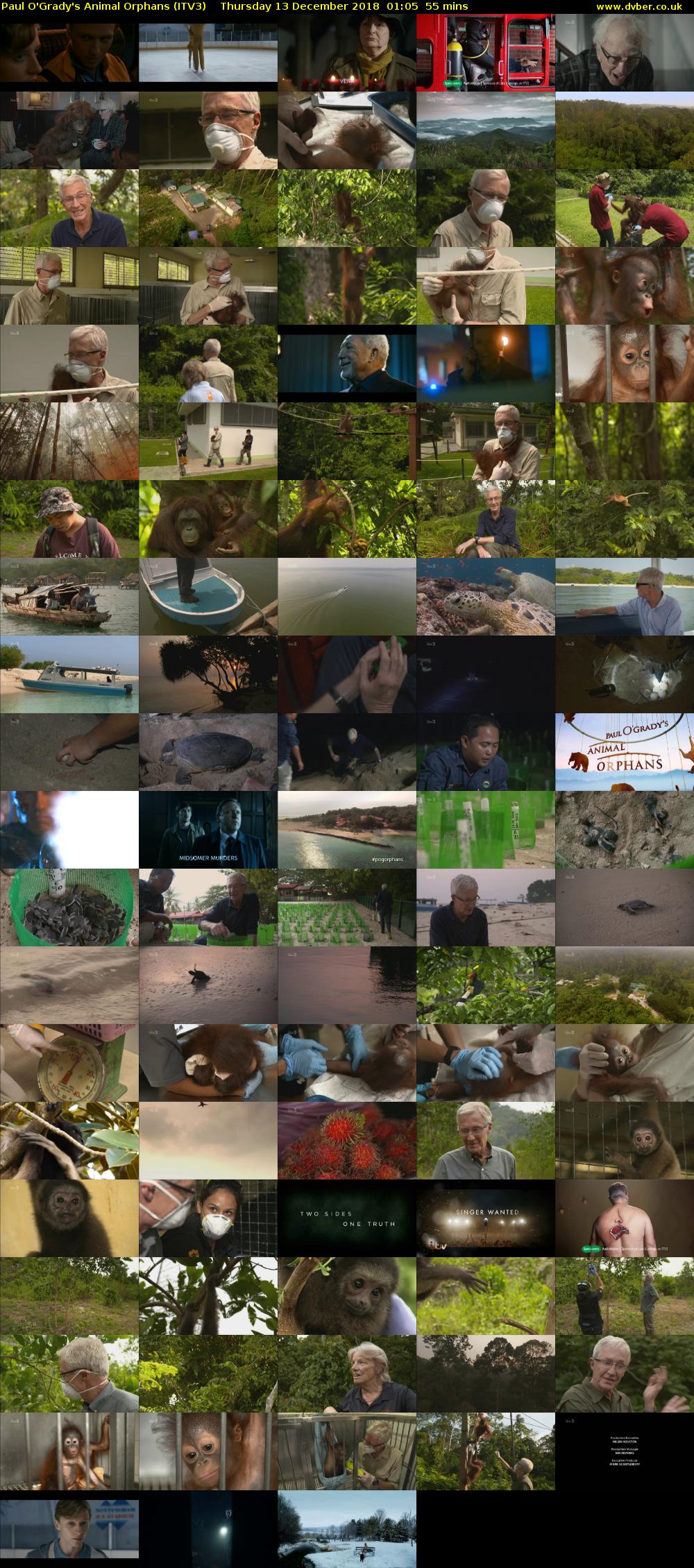 Paul O'Grady's Animal Orphans (ITV3) Thursday 13 December 2018 01:05 - 02:00