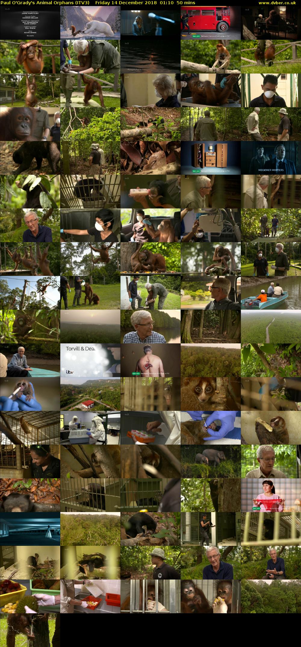 Paul O'Grady's Animal Orphans (ITV3) Friday 14 December 2018 01:10 - 02:00