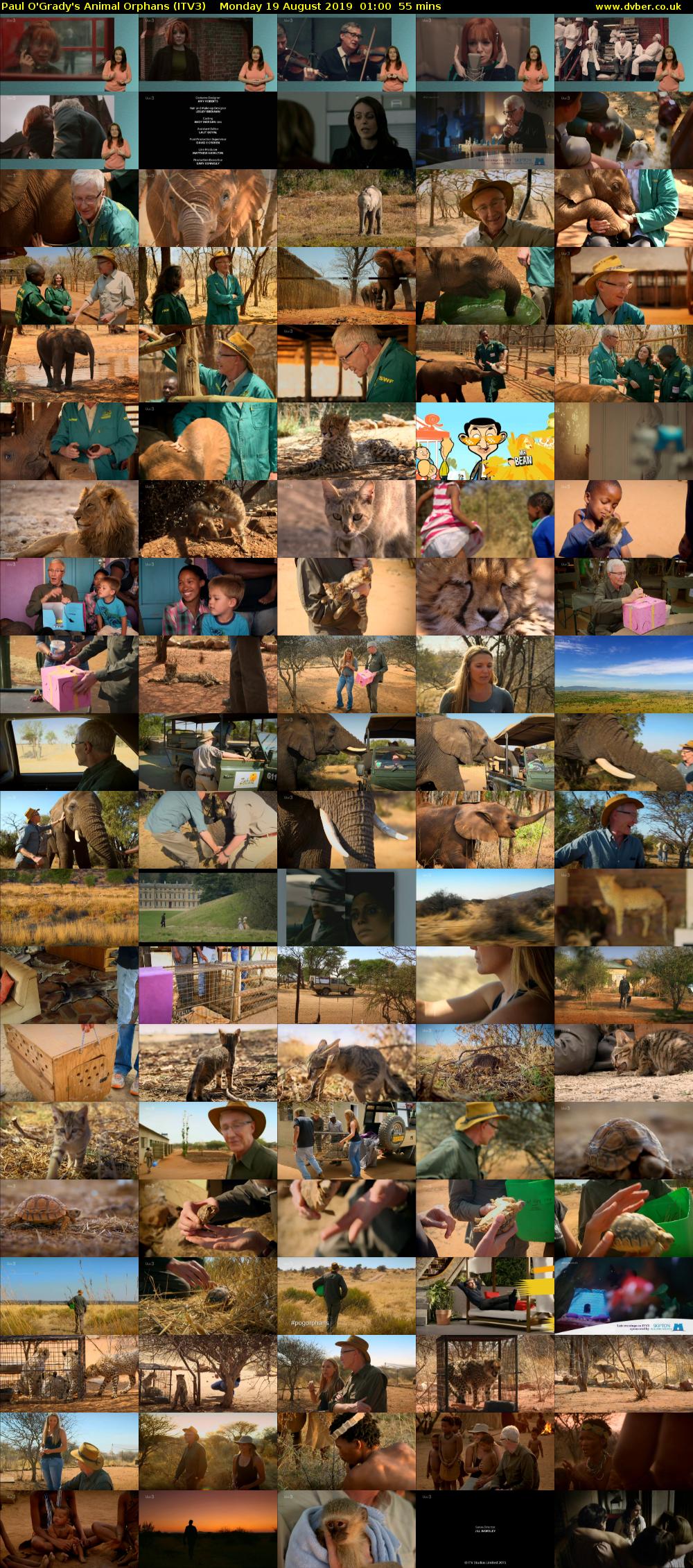 Paul O'Grady's Animal Orphans (ITV3) Monday 19 August 2019 01:00 - 01:55