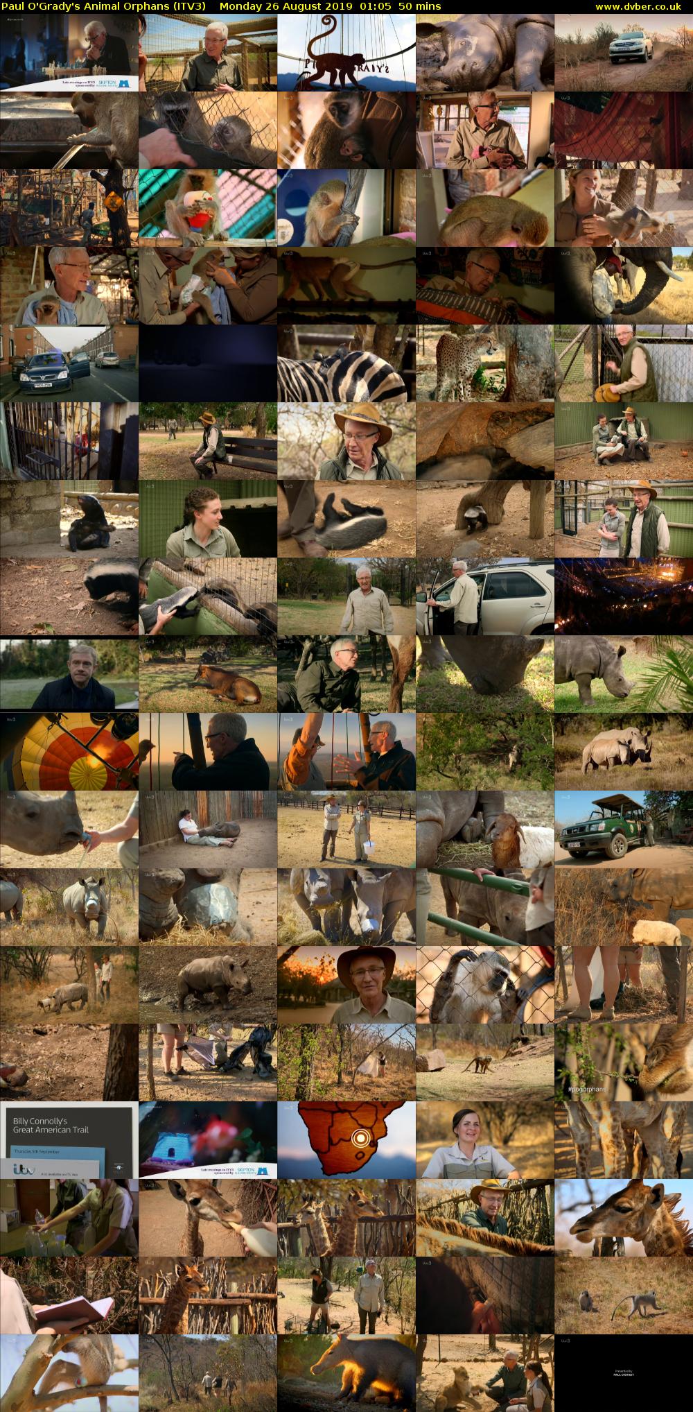 Paul O'Grady's Animal Orphans (ITV3) Monday 26 August 2019 01:05 - 01:55