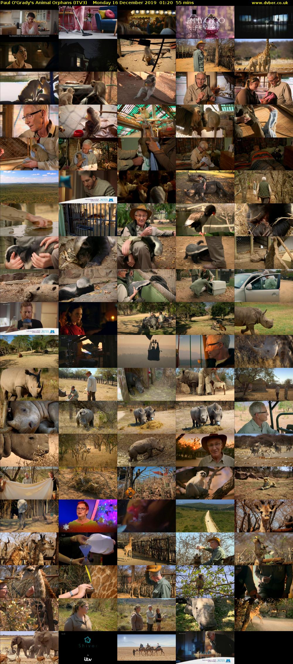 Paul O'Grady's Animal Orphans (ITV3) Monday 16 December 2019 01:20 - 02:15