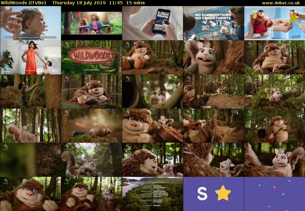 WildWoods (ITVBe) Thursday 18 July 2019 11:45 - 12:00