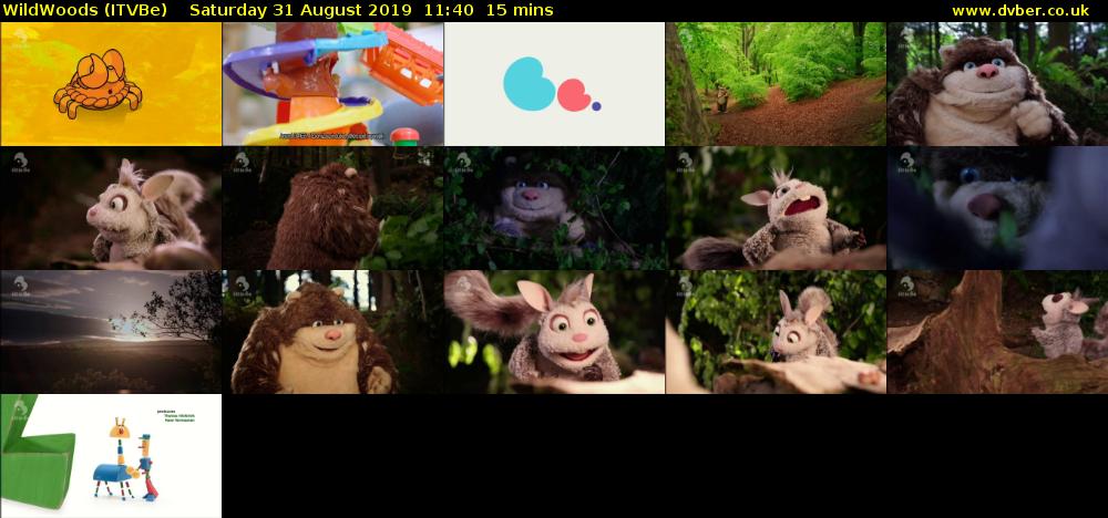 WildWoods (ITVBe) Saturday 31 August 2019 11:40 - 11:55