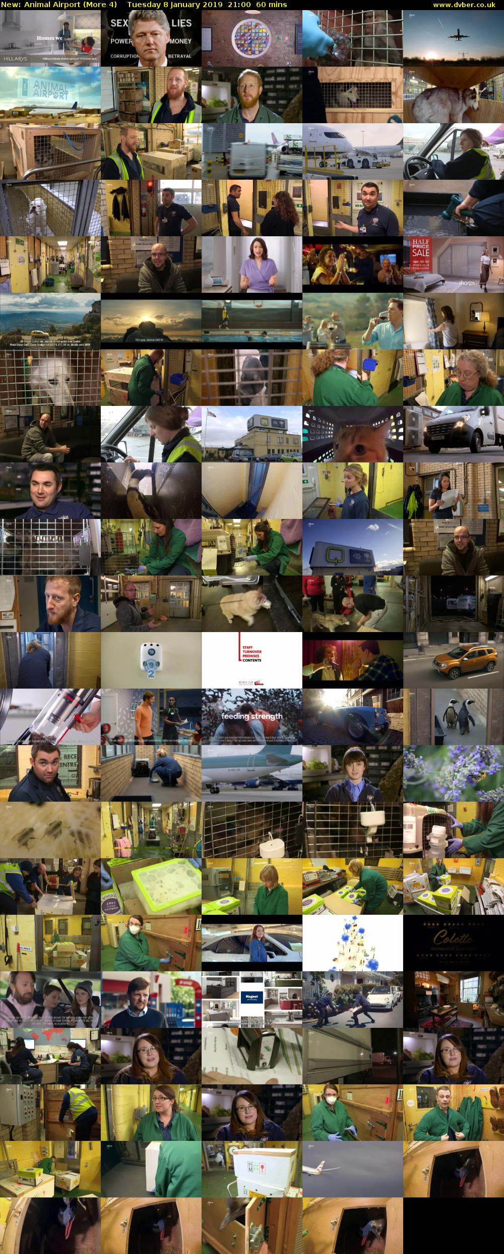 Animal Airport (More 4) Tuesday 8 January 2019 21:00 - 22:00