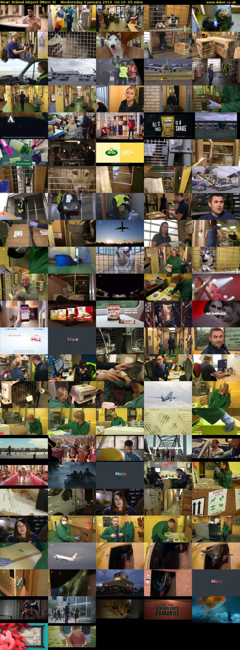 Animal Airport (More 4) Wednesday 9 January 2019 02:10 - 03:15