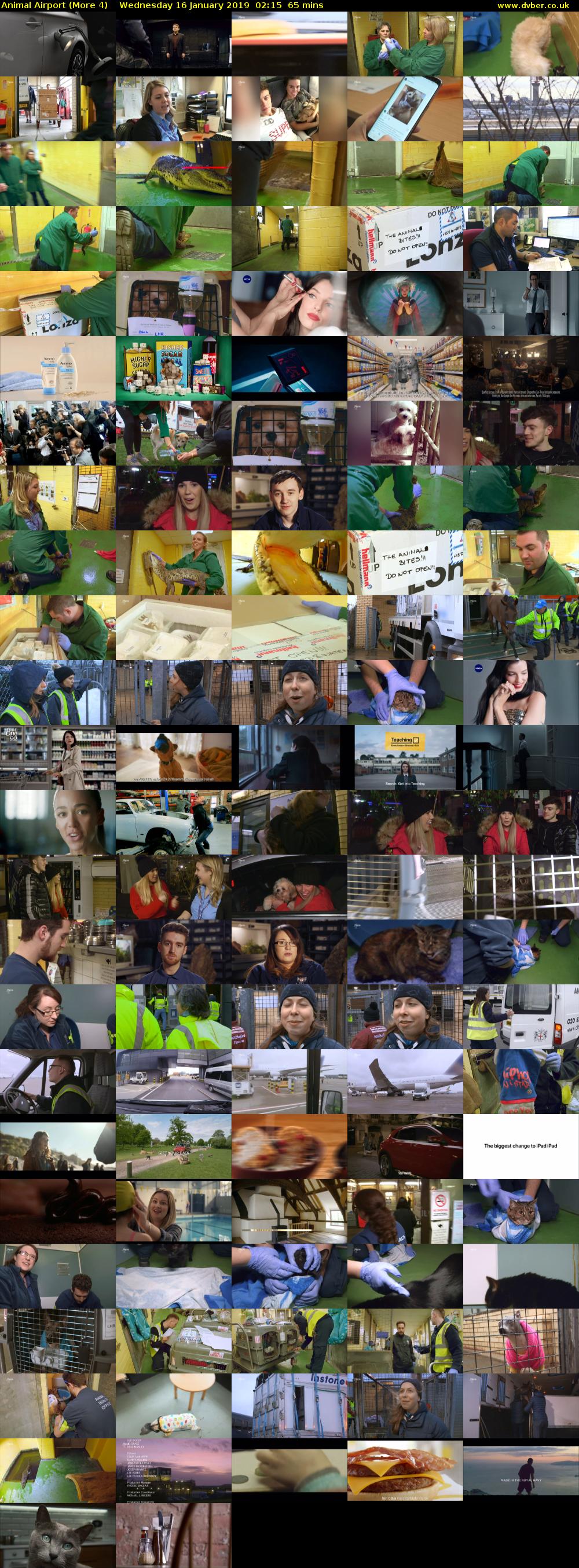 Animal Airport (More 4) Wednesday 16 January 2019 02:15 - 03:20