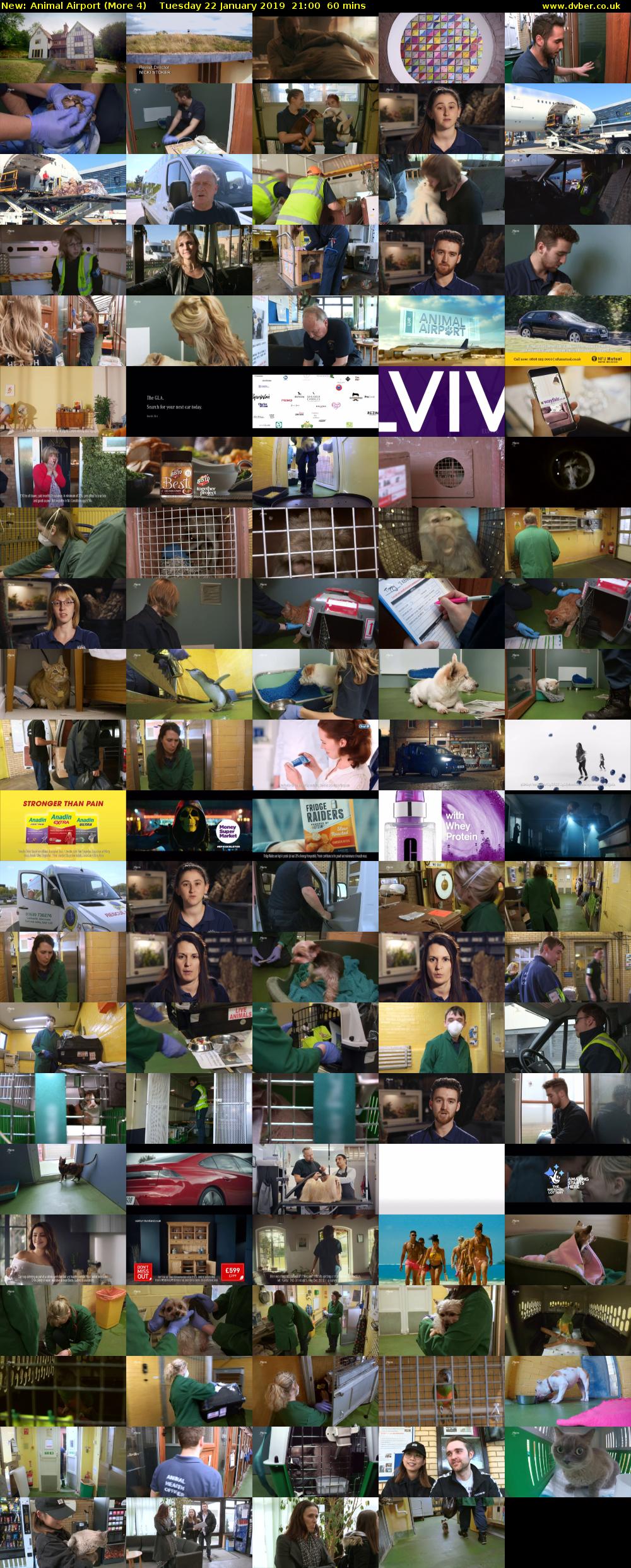 Animal Airport (More 4) Tuesday 22 January 2019 21:00 - 22:00