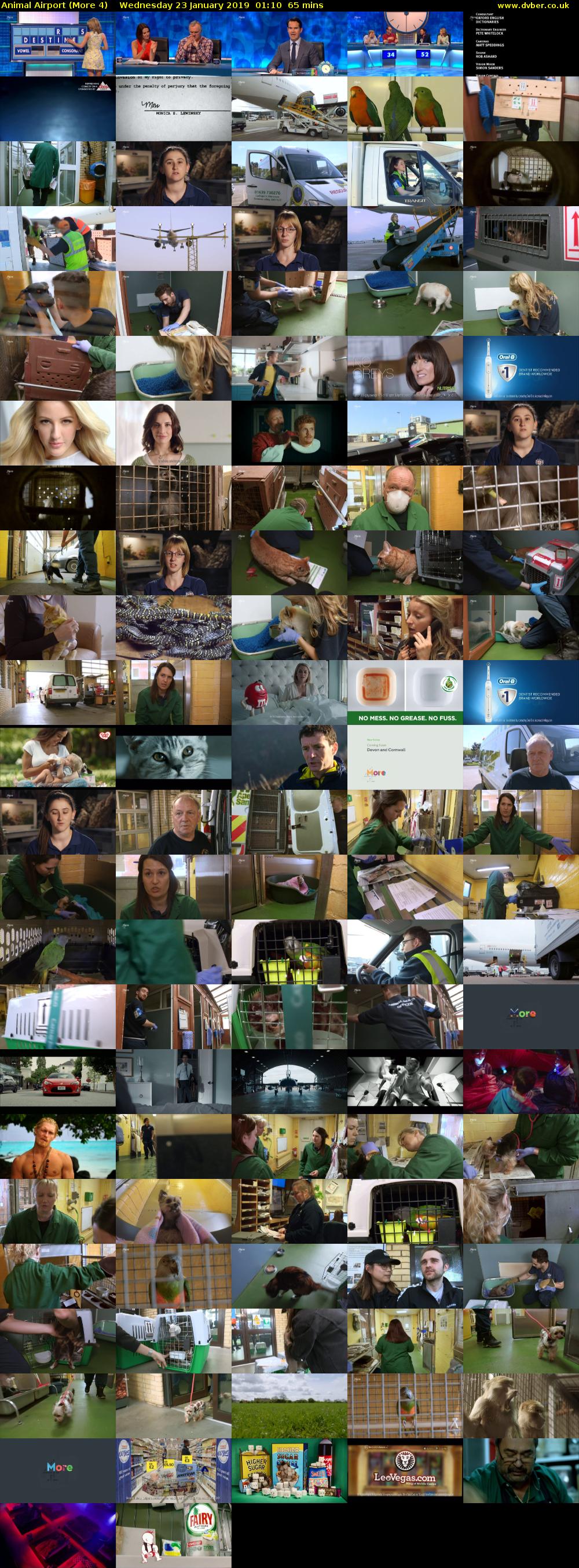 Animal Airport (More 4) Wednesday 23 January 2019 01:10 - 02:15