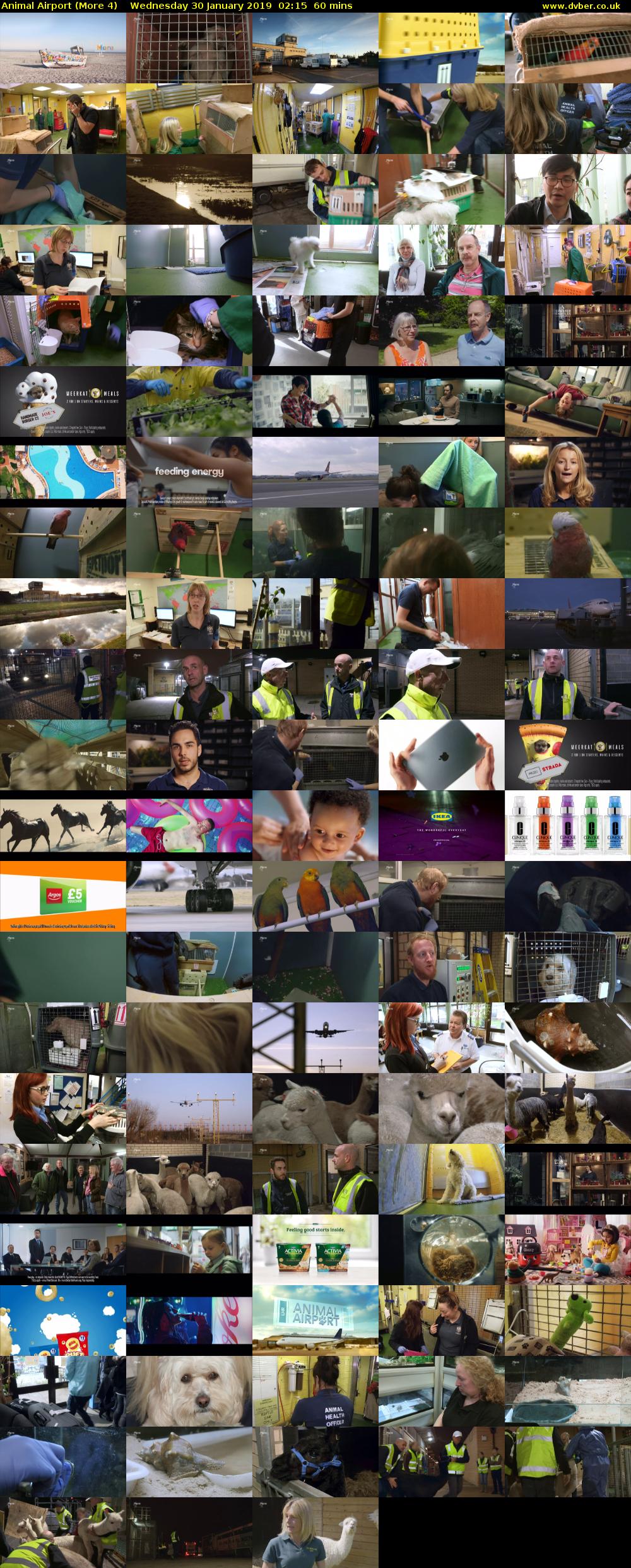 Animal Airport (More 4) Wednesday 30 January 2019 02:15 - 03:15