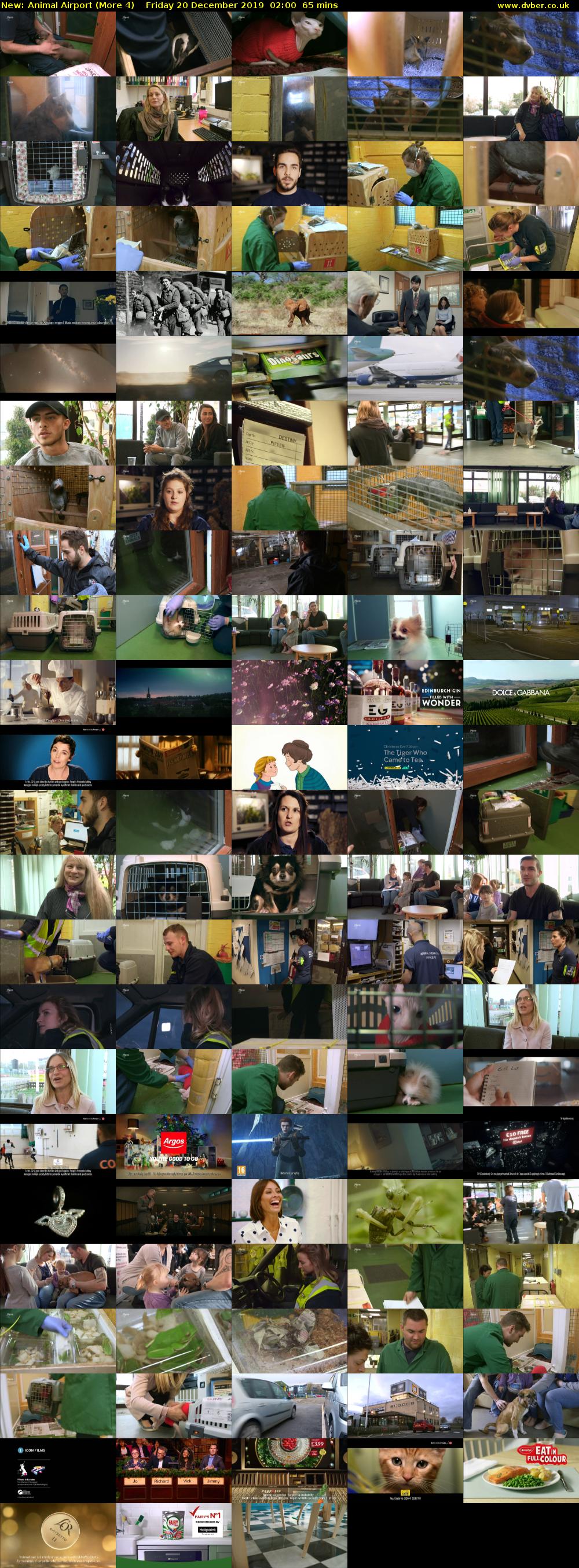 Animal Airport (More 4) Friday 20 December 2019 02:00 - 03:05
