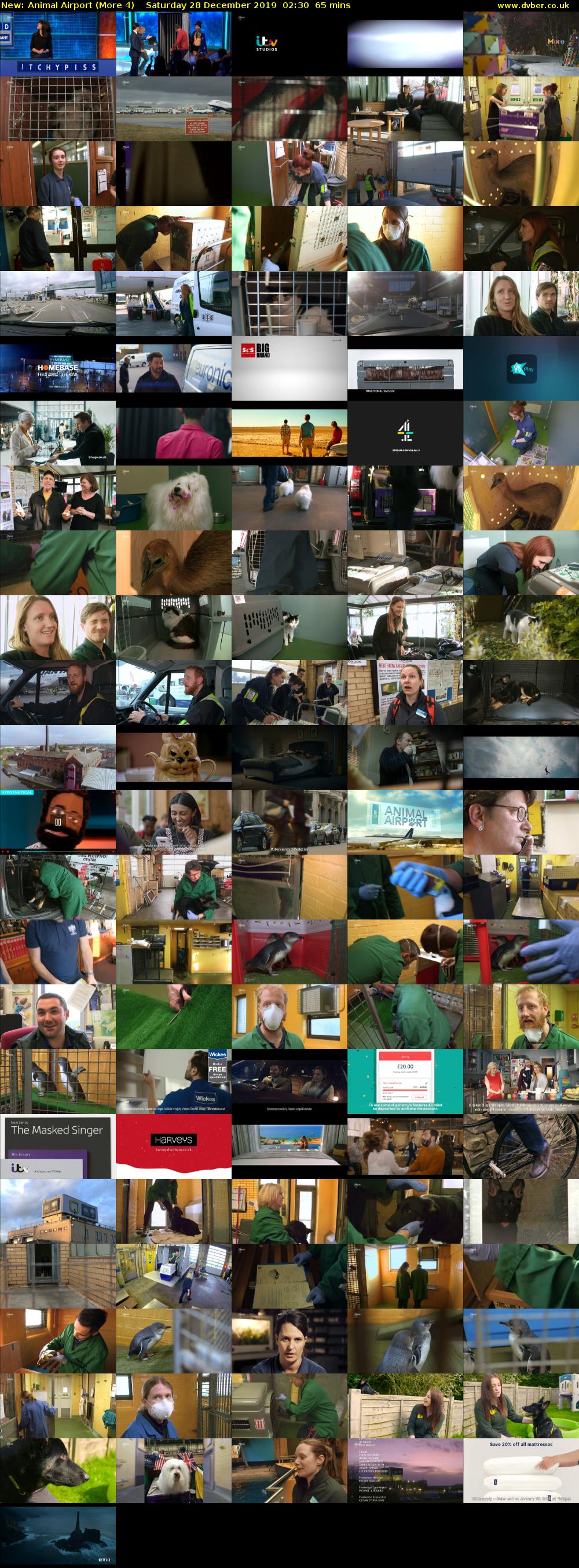 Animal Airport (More 4) Saturday 28 December 2019 02:30 - 03:35