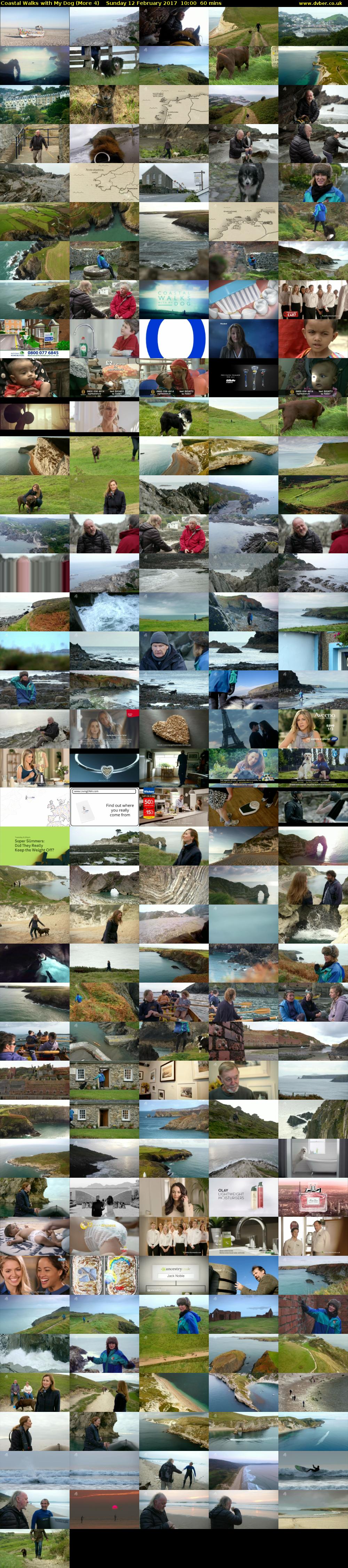 Coastal Walks with My Dog (More 4) Sunday 12 February 2017 10:00 - 11:00