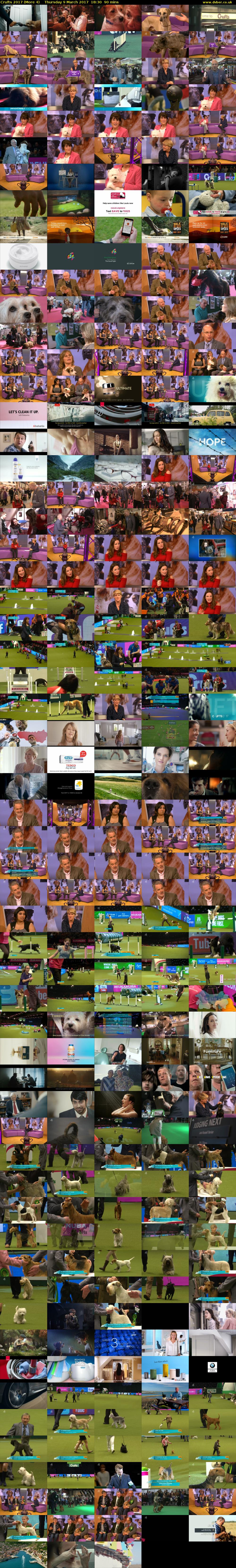 Crufts 2017 (More 4) Thursday 9 March 2017 18:30 - 20:00