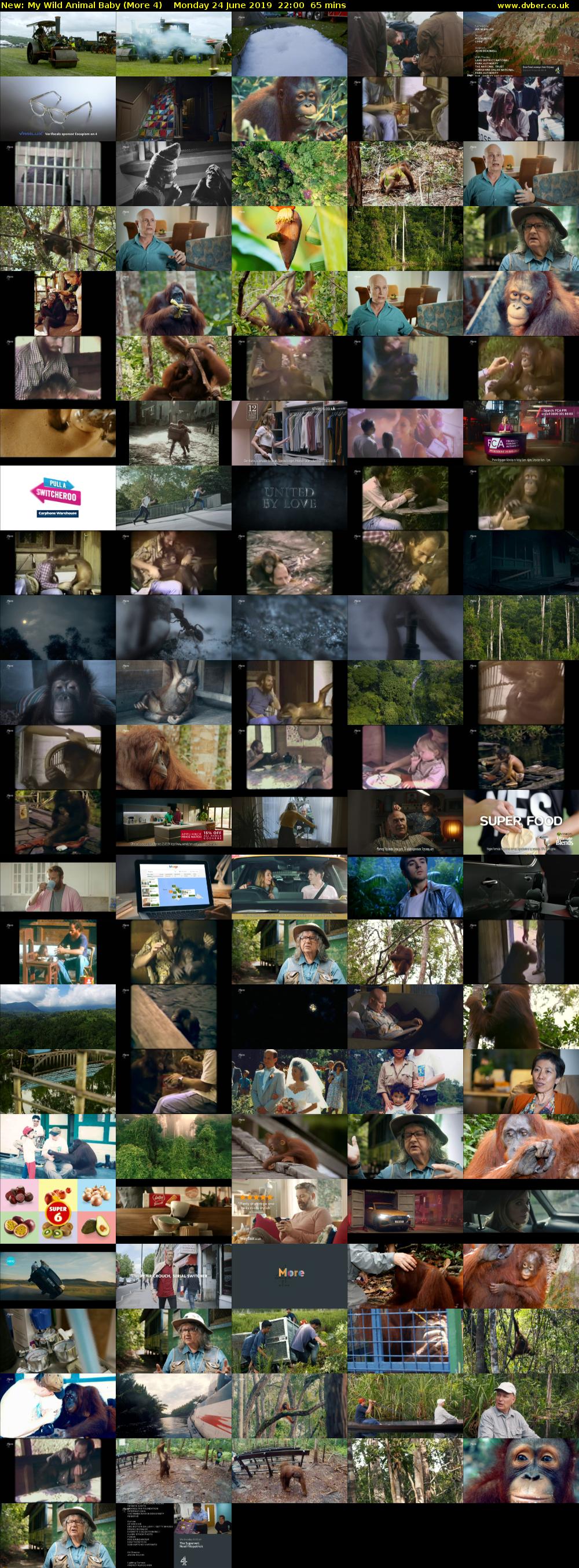 My Wild Animal Baby (More 4) Monday 24 June 2019 22:00 - 23:05