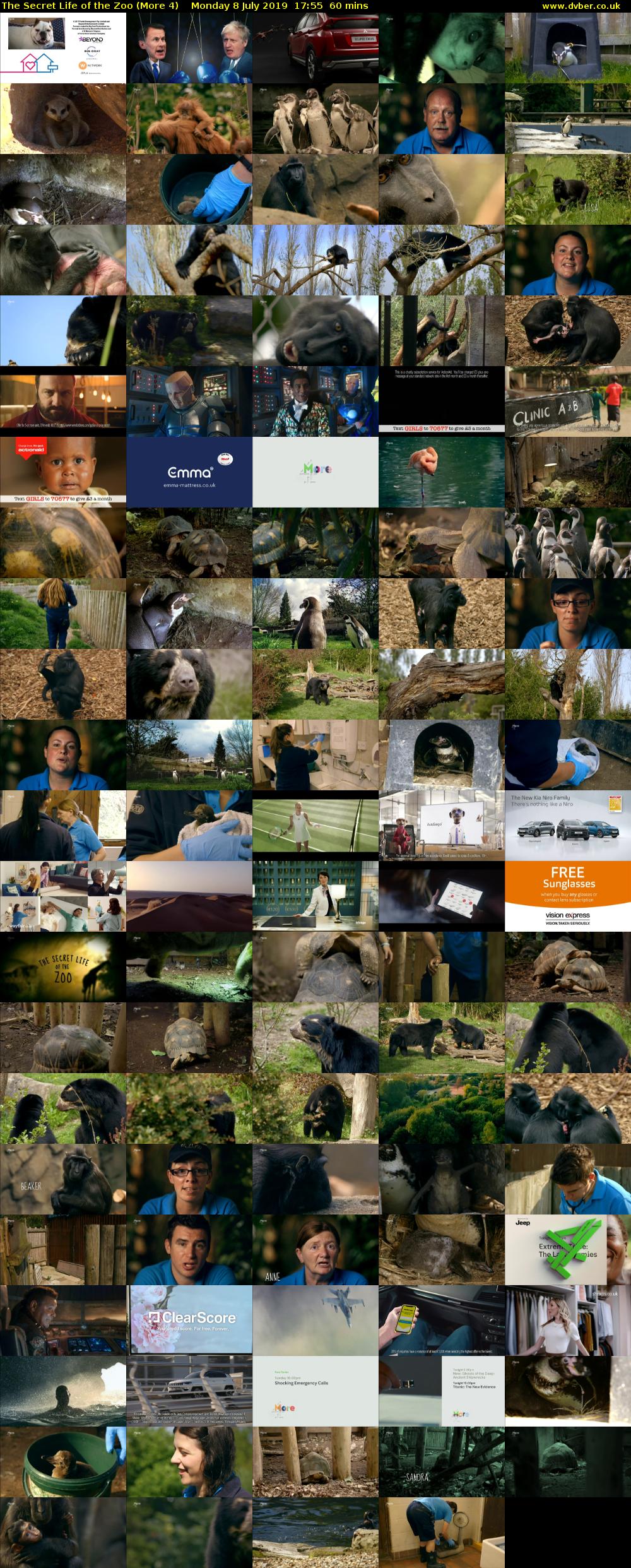 The Secret Life of the Zoo (More 4) Monday 8 July 2019 17:55 - 18:55