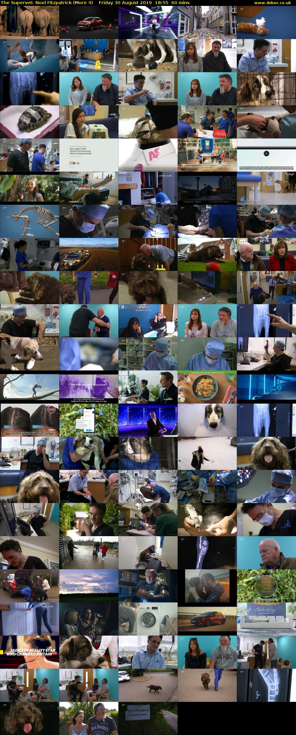 The Supervet: Noel Fitzpatrick (More 4) Friday 30 August 2019 18:55 - 19:55