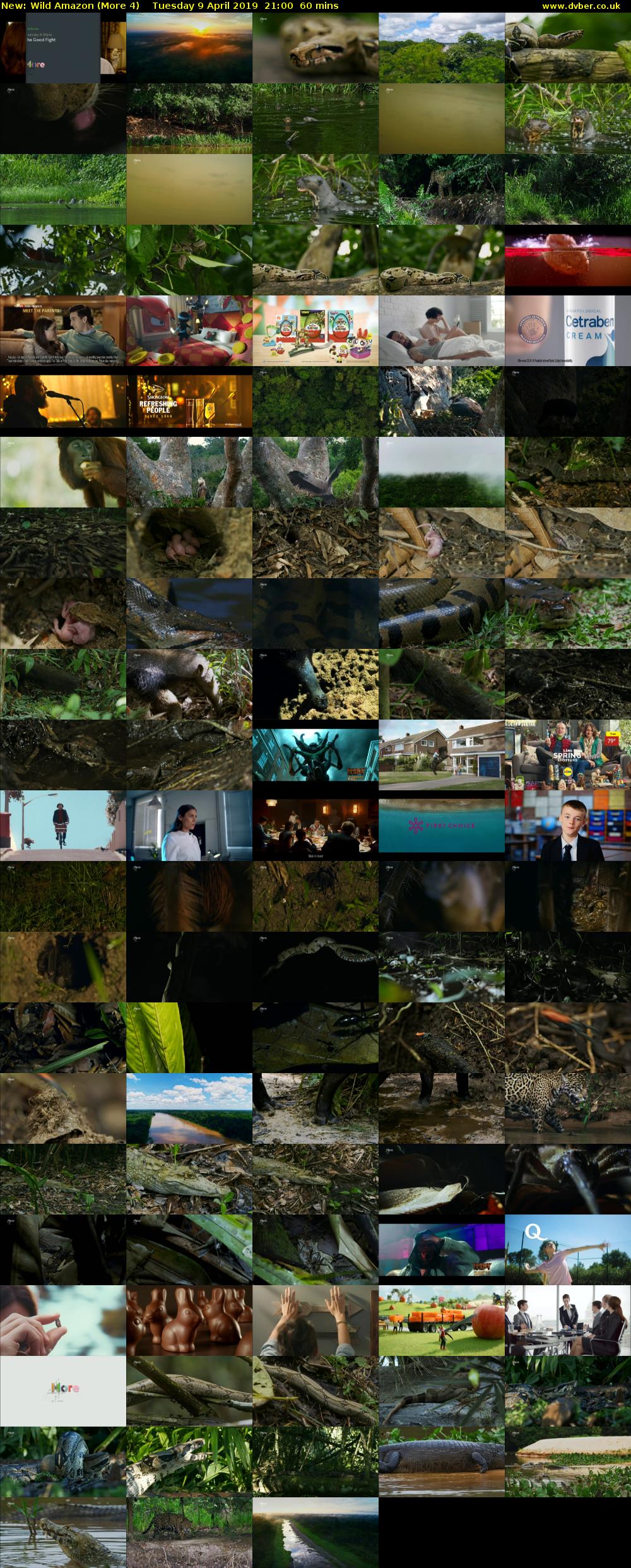 Wild Amazon (More 4) Tuesday 9 April 2019 21:00 - 22:00