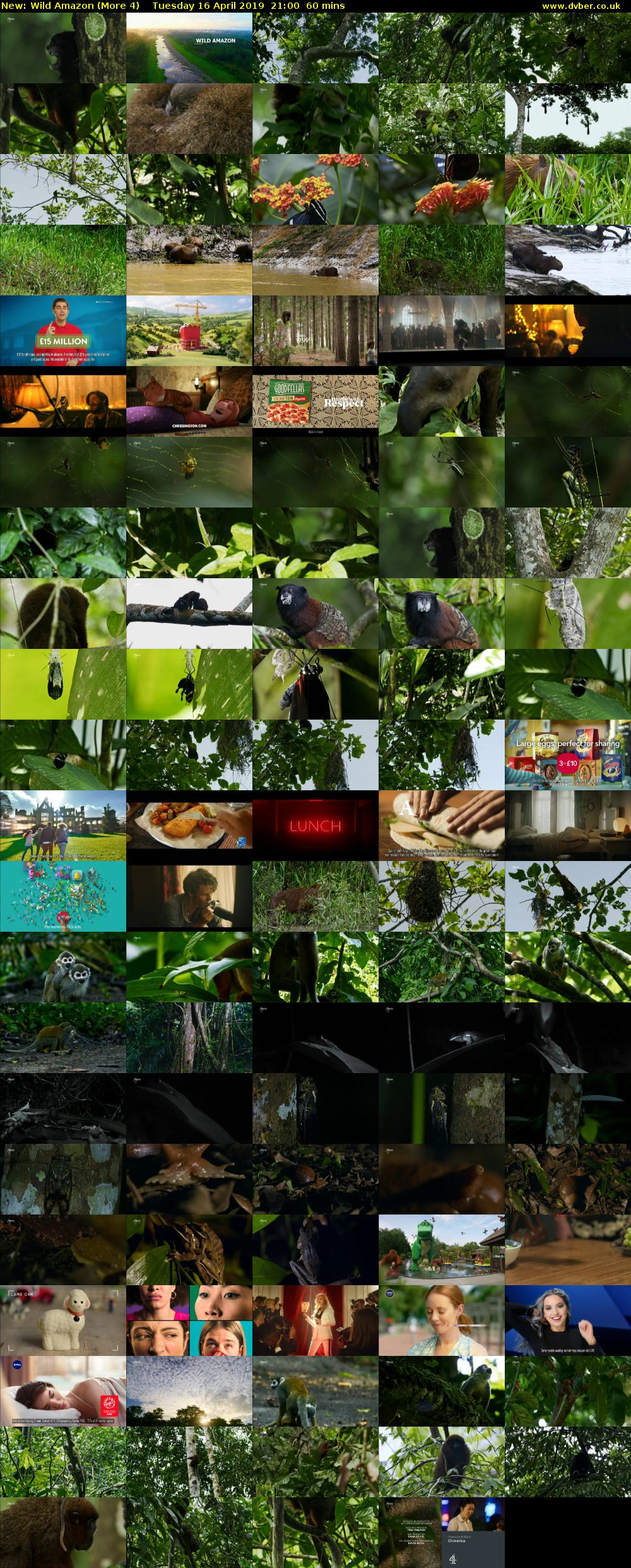 Wild Amazon (More 4) Tuesday 16 April 2019 21:00 - 22:00