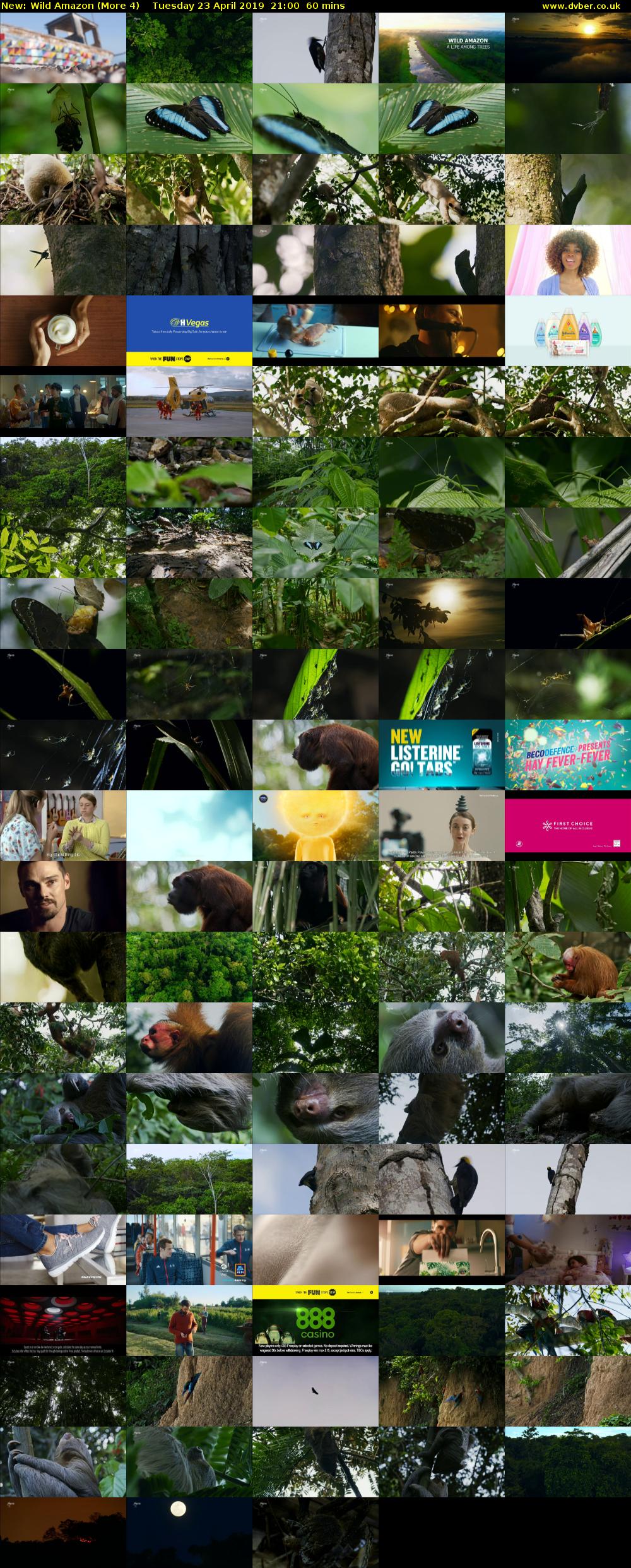 Wild Amazon (More 4) Tuesday 23 April 2019 21:00 - 22:00