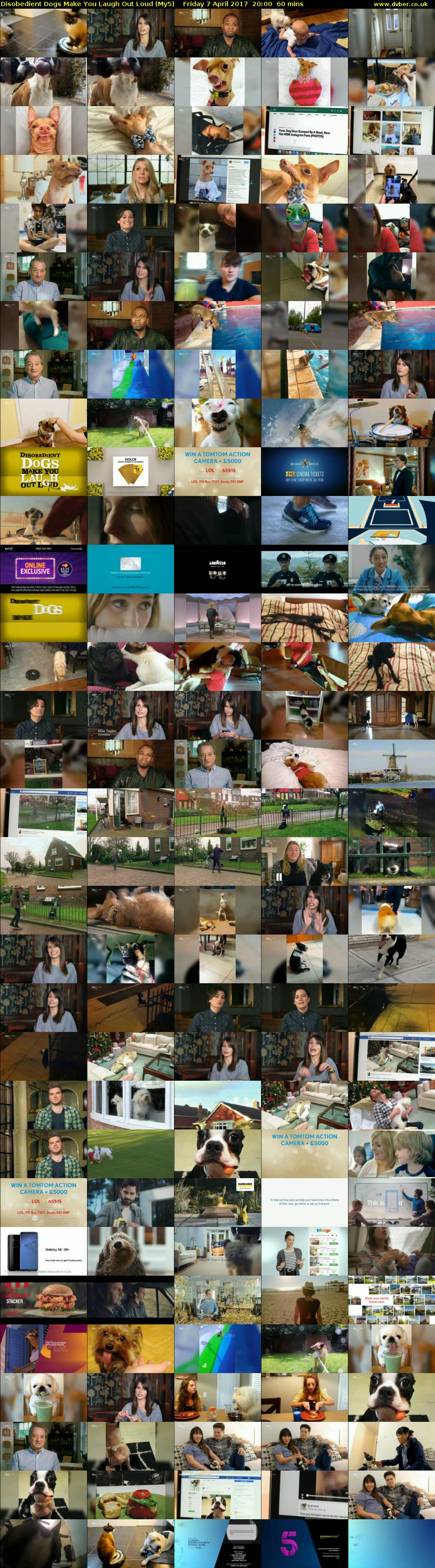 Disobedient Dogs Make You Laugh Out Loud (My5) Friday 7 April 2017 20:00 - 21:00