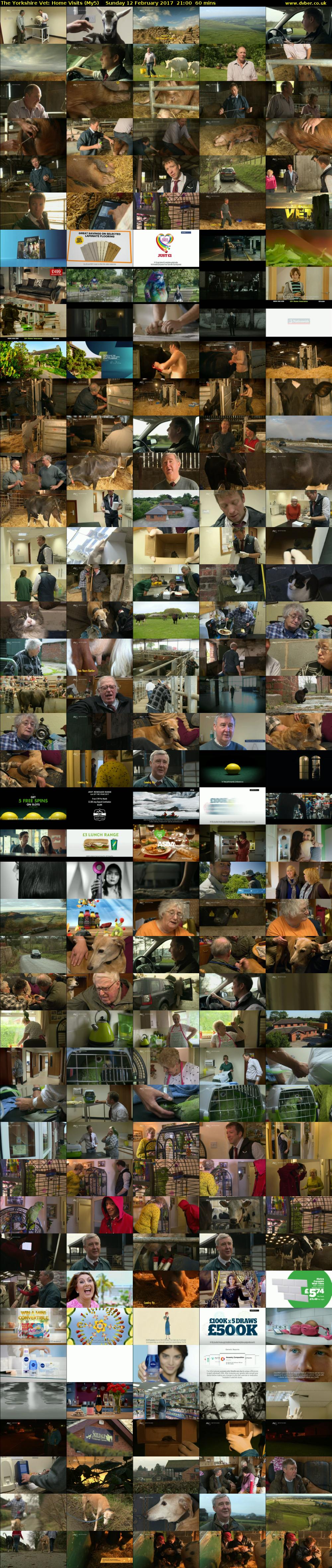 The Yorkshire Vet: Home Visits (My5) Sunday 12 February 2017 21:00 - 22:00