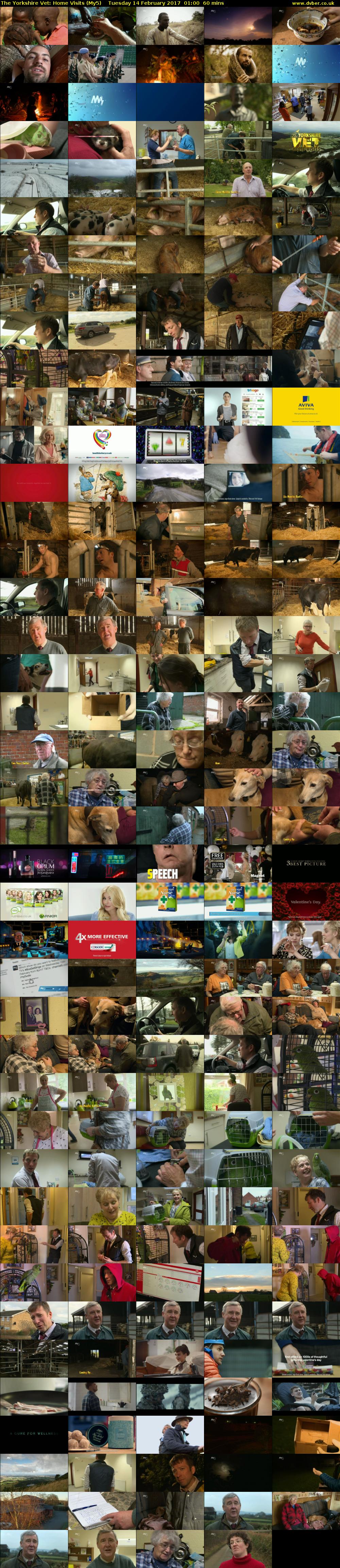 The Yorkshire Vet: Home Visits (My5) Tuesday 14 February 2017 01:00 - 02:00
