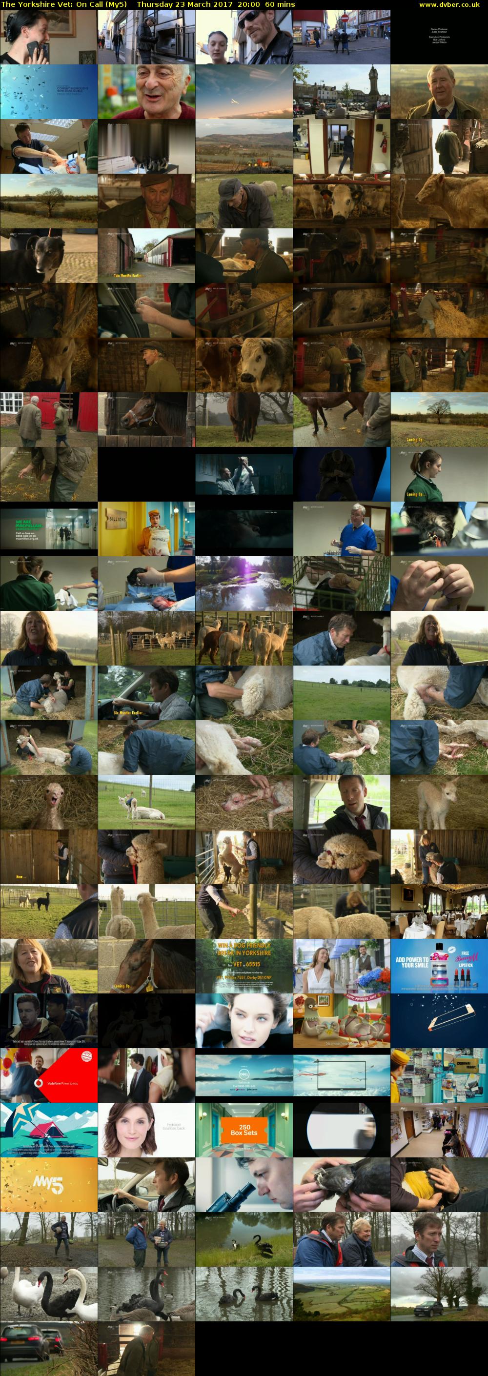 The Yorkshire Vet: On Call (My5) Thursday 23 March 2017 20:00 - 21:00