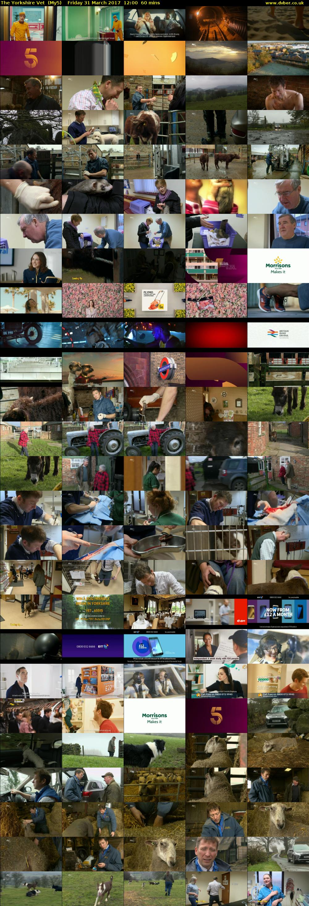 The Yorkshire Vet  (My5) Friday 31 March 2017 12:00 - 13:00