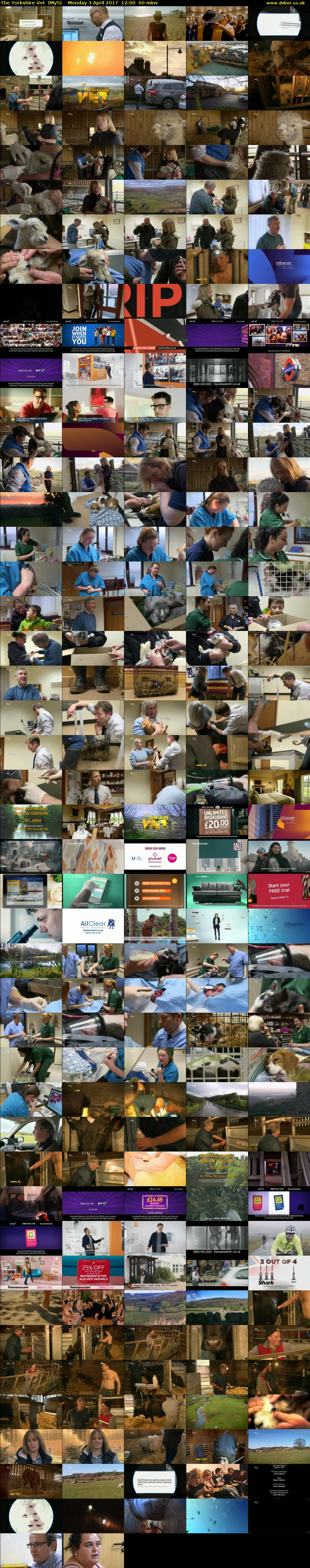 The Yorkshire Vet  (My5) Monday 3 April 2017 12:00 - 13:00