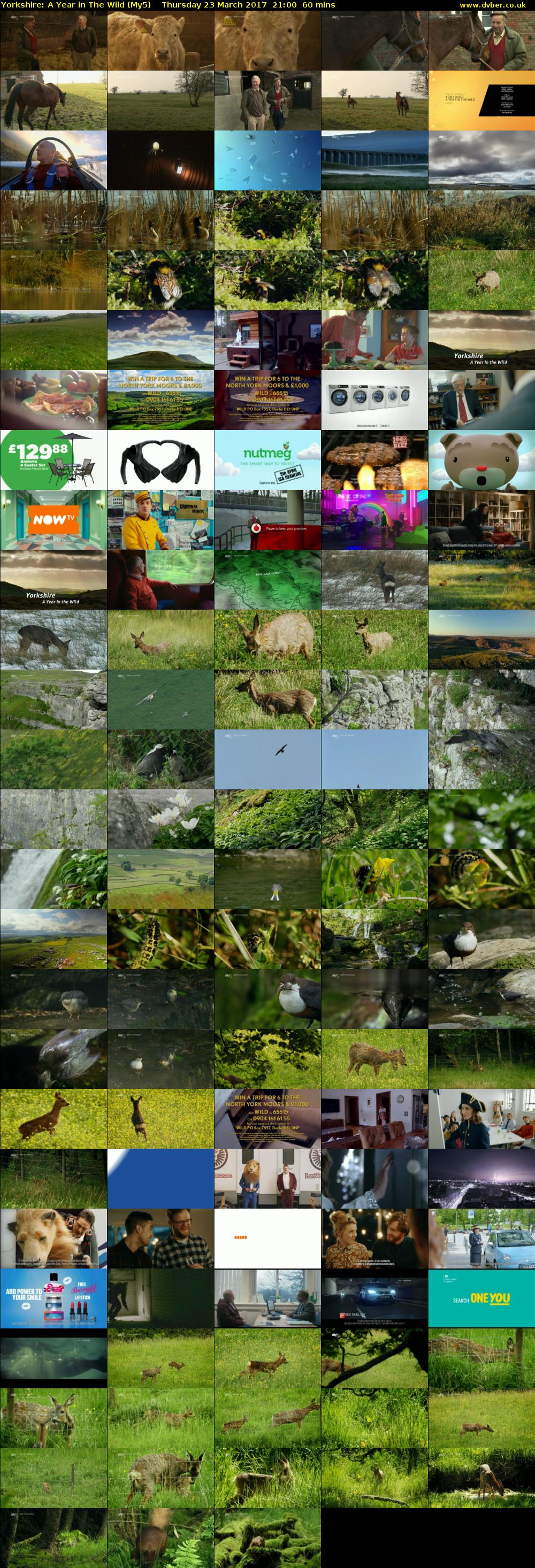 Yorkshire: A Year in The Wild (My5) Thursday 23 March 2017 21:00 - 22:00