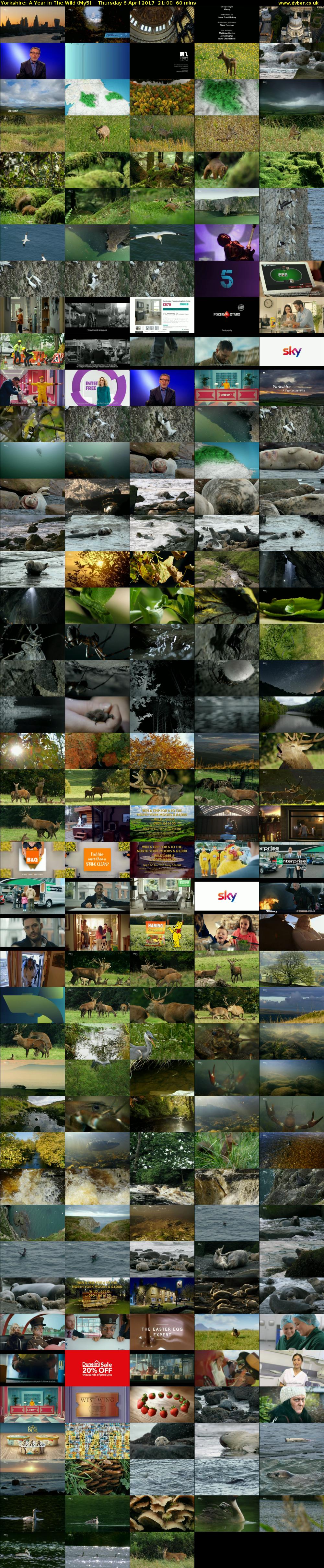 Yorkshire: A Year in The Wild (My5) Thursday 6 April 2017 21:00 - 22:00