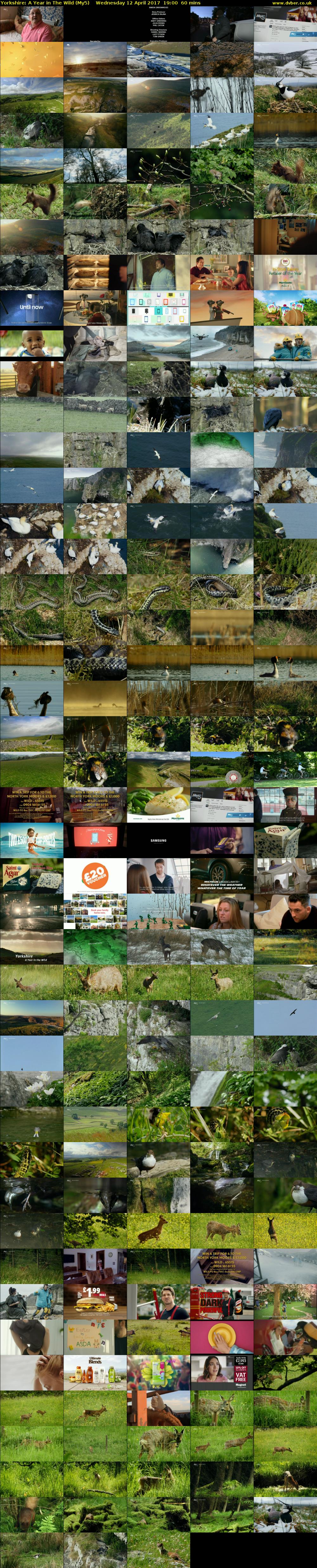 Yorkshire: A Year in The Wild (My5) Wednesday 12 April 2017 19:00 - 20:00