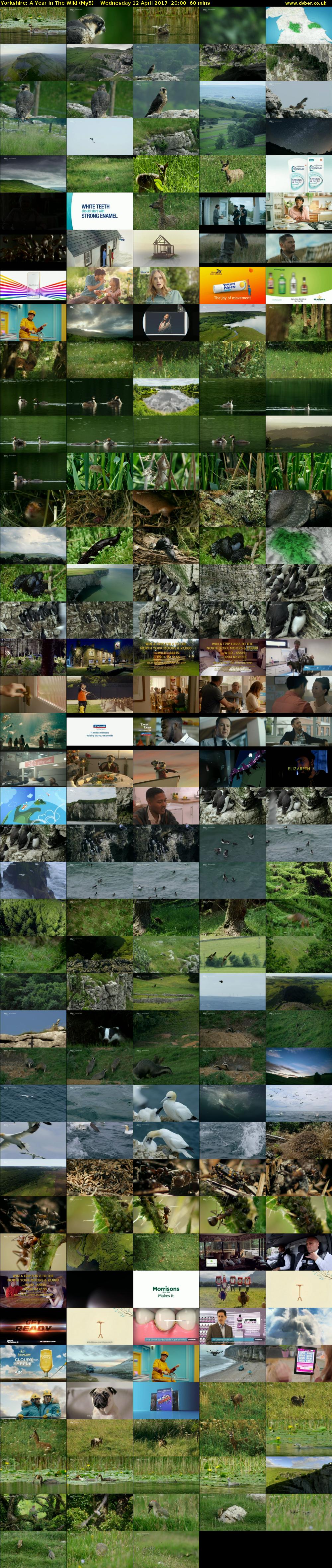 Yorkshire: A Year in The Wild (My5) Wednesday 12 April 2017 20:00 - 21:00