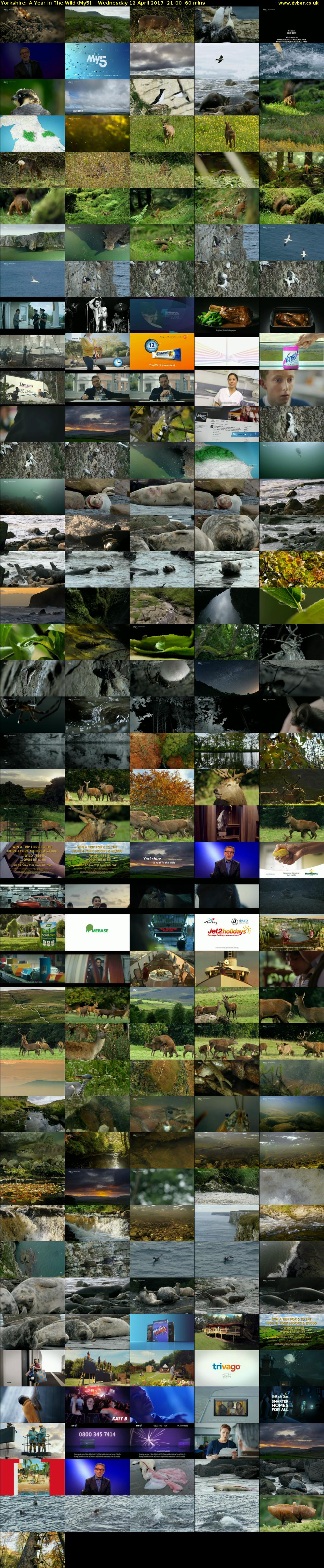 Yorkshire: A Year in The Wild (My5) Wednesday 12 April 2017 21:00 - 22:00