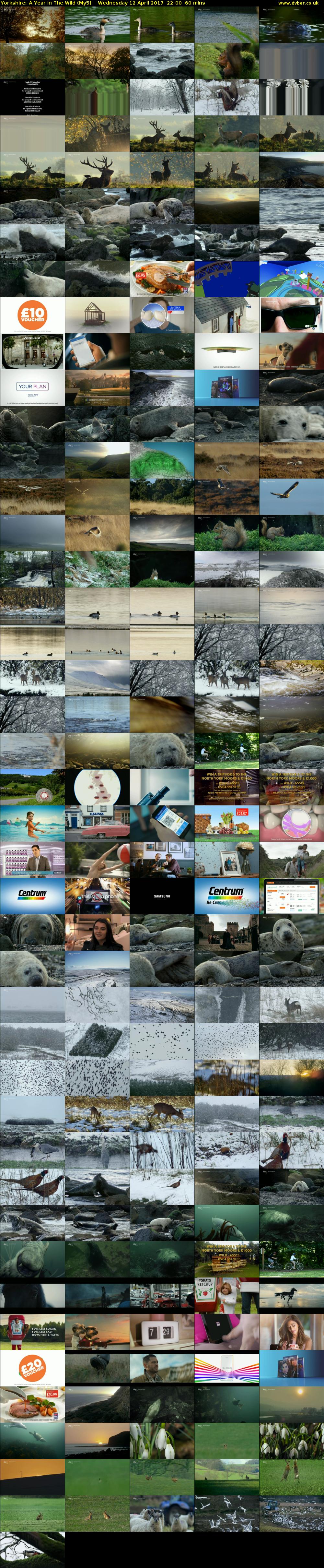 Yorkshire: A Year in The Wild (My5) Wednesday 12 April 2017 22:00 - 23:00