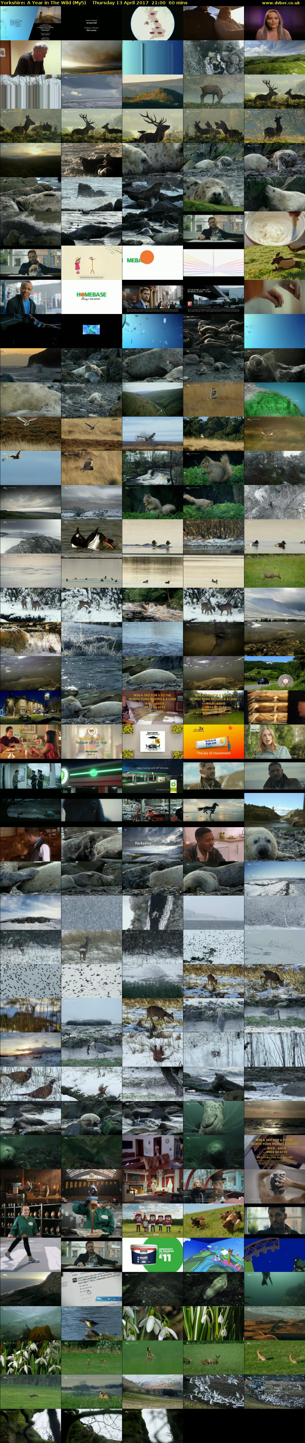 Yorkshire: A Year in The Wild (My5) Thursday 13 April 2017 21:00 - 22:00