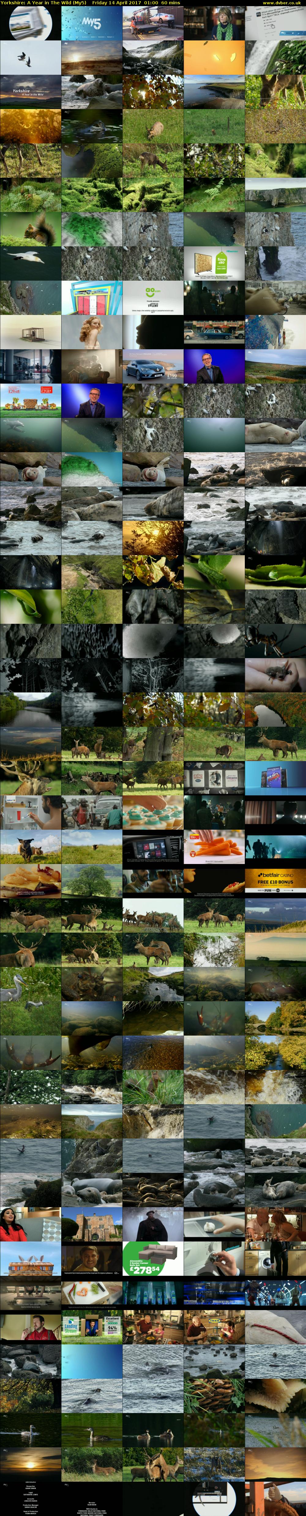 Yorkshire: A Year in The Wild (My5) Friday 14 April 2017 01:00 - 02:00