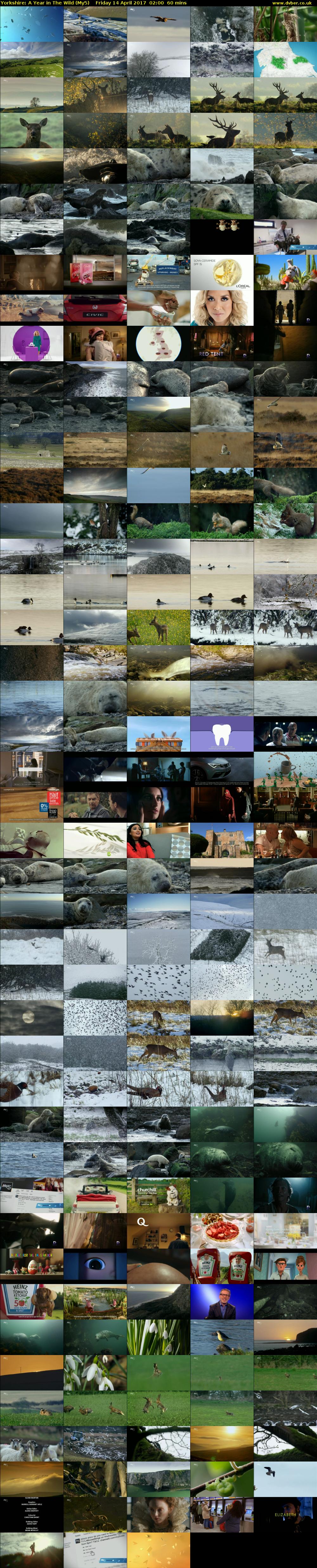 Yorkshire: A Year in The Wild (My5) Friday 14 April 2017 02:00 - 03:00