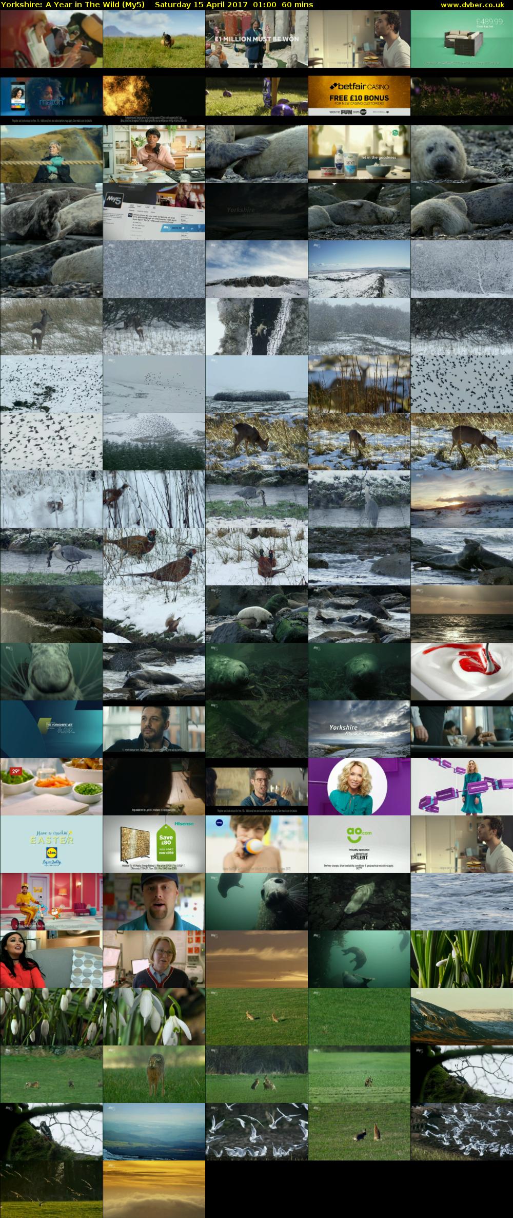 Yorkshire: A Year in The Wild (My5) Saturday 15 April 2017 01:00 - 02:00