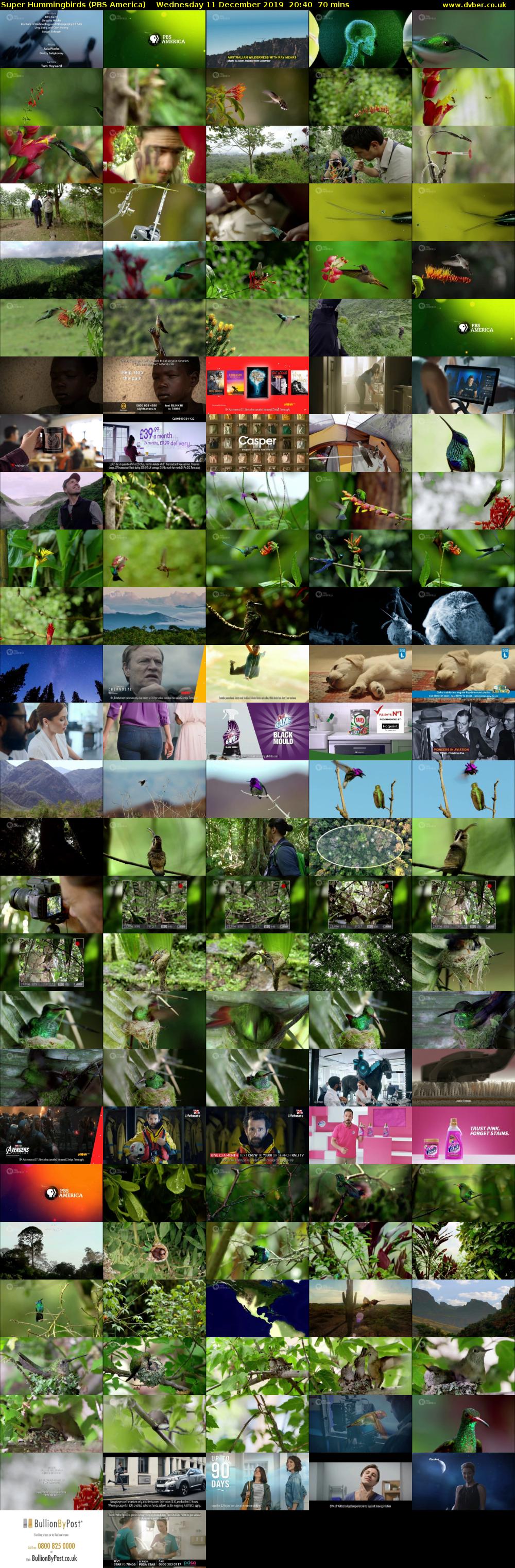 Super Hummingbirds (PBS America) Wednesday 11 December 2019 20:40 - 21:50