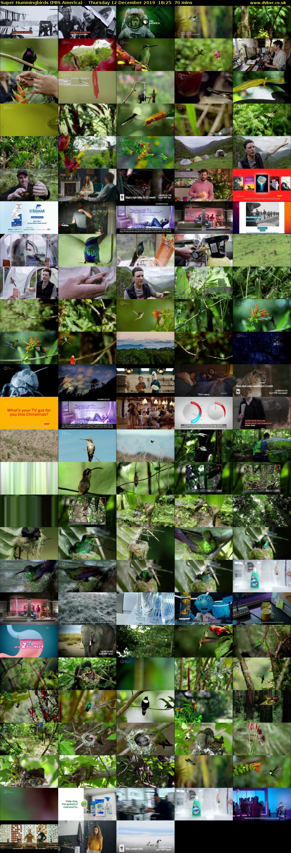 Super Hummingbirds (PBS America) Thursday 12 December 2019 18:25 - 19:35