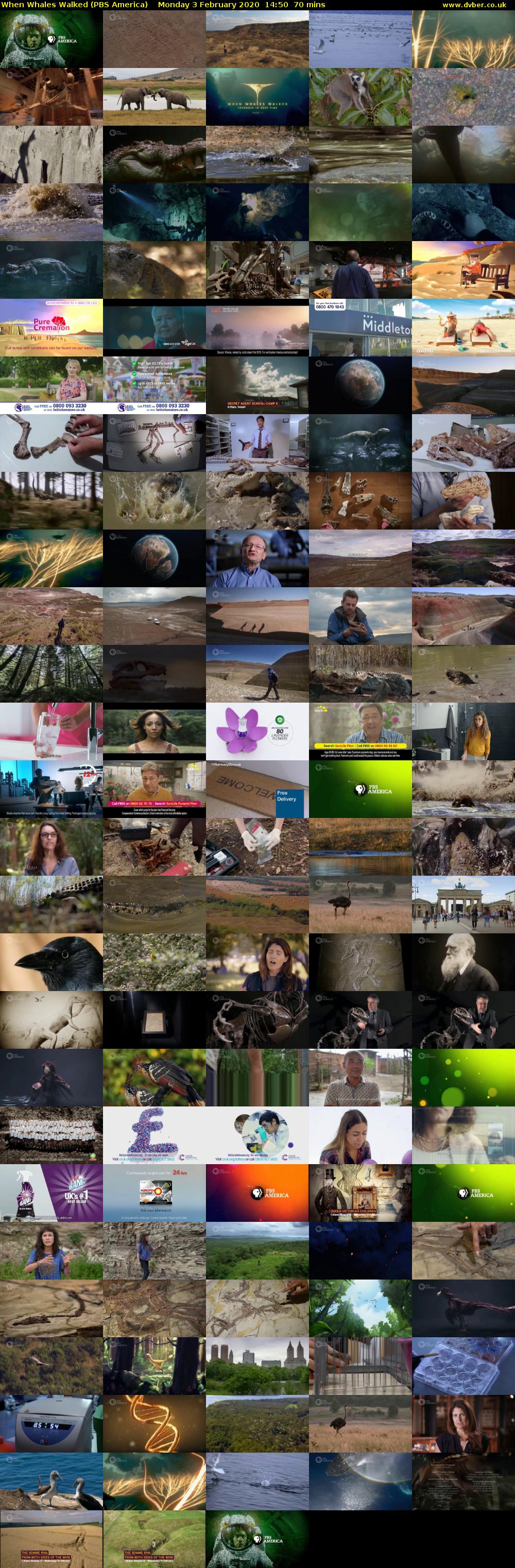 When Whales Walked (PBS America) Monday 3 February 2020 14:50 - 16:00