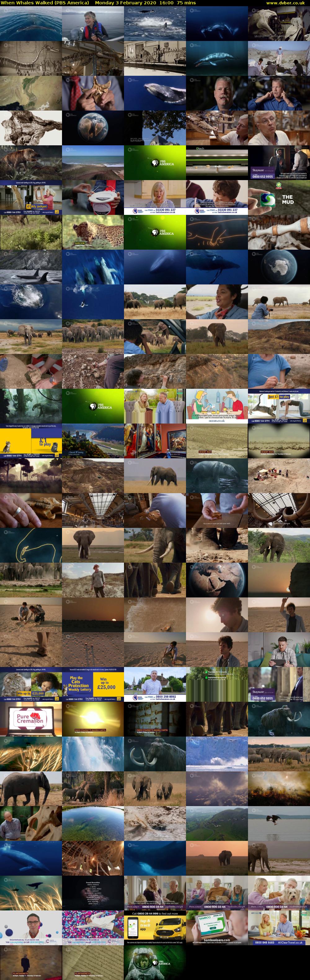 When Whales Walked (PBS America) Monday 3 February 2020 16:00 - 17:15