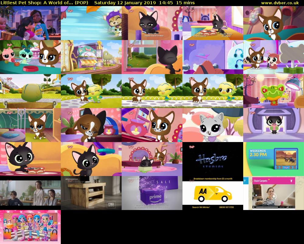 Littlest Pet Shop: A World of... (POP) Saturday 12 January 2019 14:45 - 15:00